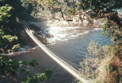 Suspension Bridge an der M�ndung des Storms River