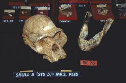 Bild � South African Tourism