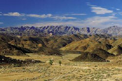 Das Richtersveld im Fr�hjahr