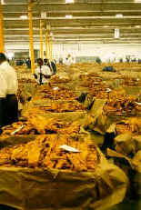 Tabakb�rese in Harare